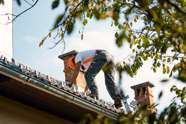 Best Slate Roofing Contractor  in Vivian, LA